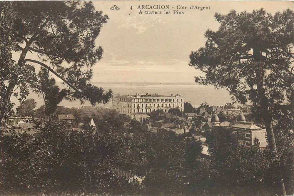 Arcachon - Côte d'Argent — A travers les Pins — éditeur inconnu, n°4 - Frente