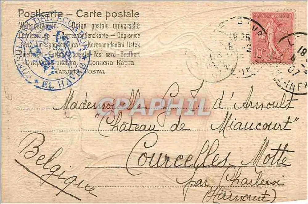 Bouquet de violetas — souvenir afectuoso — editor não identificado - Verso