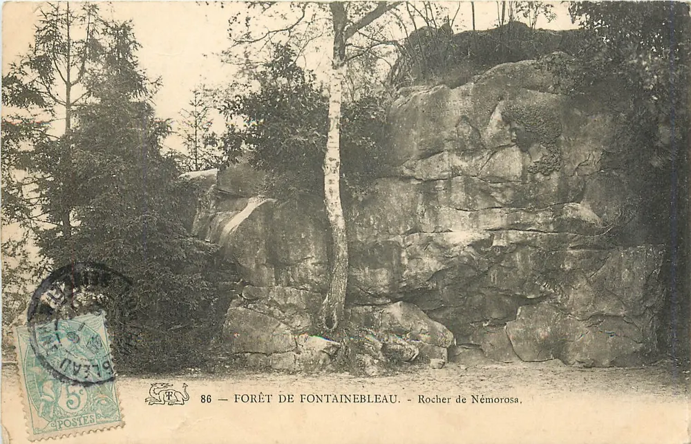 Forêt de Fontainebleau — Rocher de Némorosa — Éditeur S. Lézard, n° 86 - Recto
