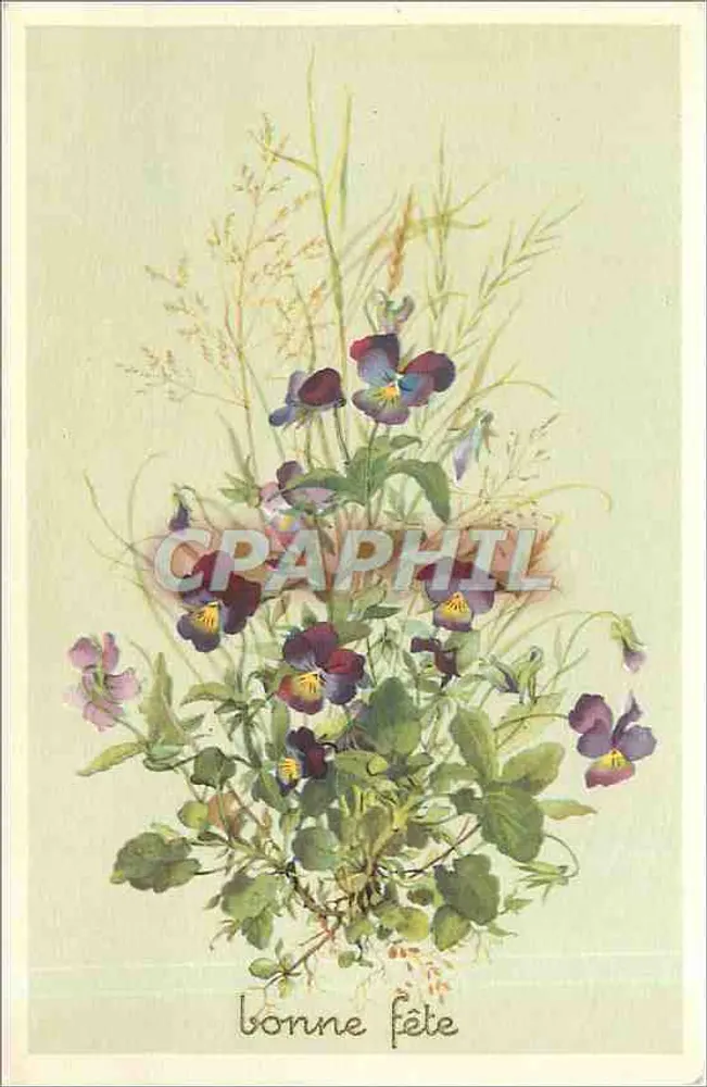 Violets and herbs — greeting card — edition J. Glitschay - Front