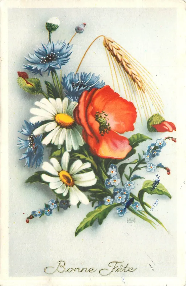 Arranjo de flores — Boa Festa — HSI - Frente