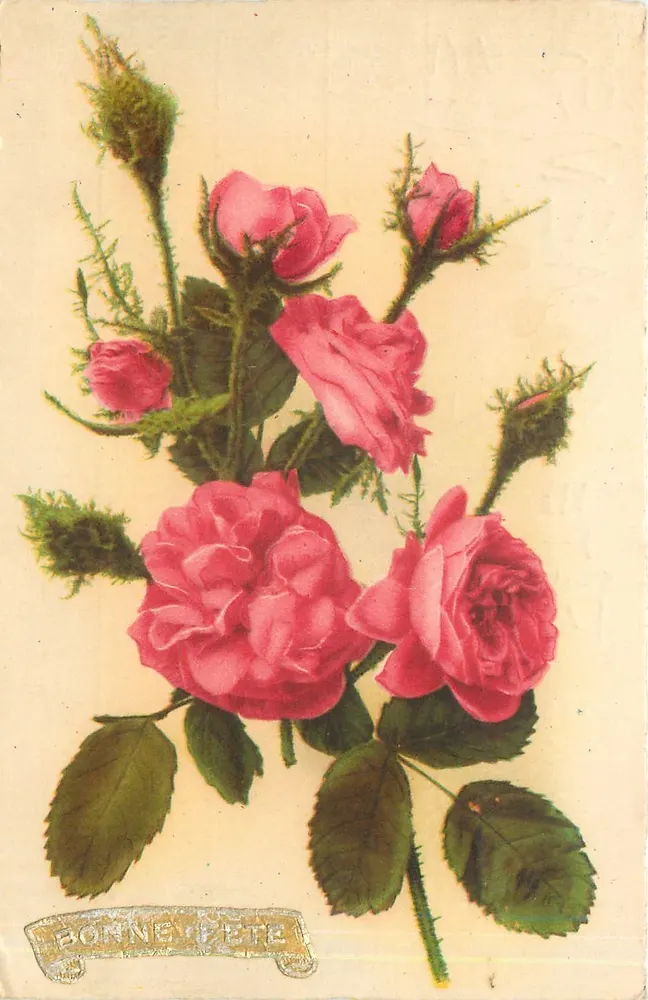 Mata de rosas — Boa festa — Imprimerie Matérieuse, série N°5 - Frente