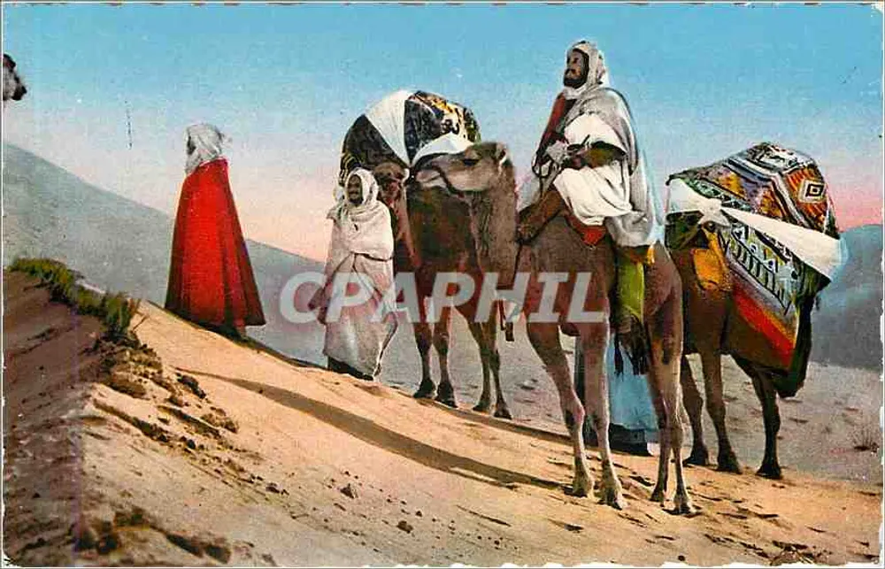 Wüstenkarawanen — Algerien — Editions NATURELLES, Algier, Nr. 8.159 - Vorderseite