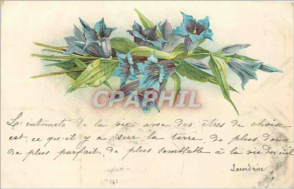 Buquê de flores azuis — Citação de Lacordaire — Editor não identificado - Frente