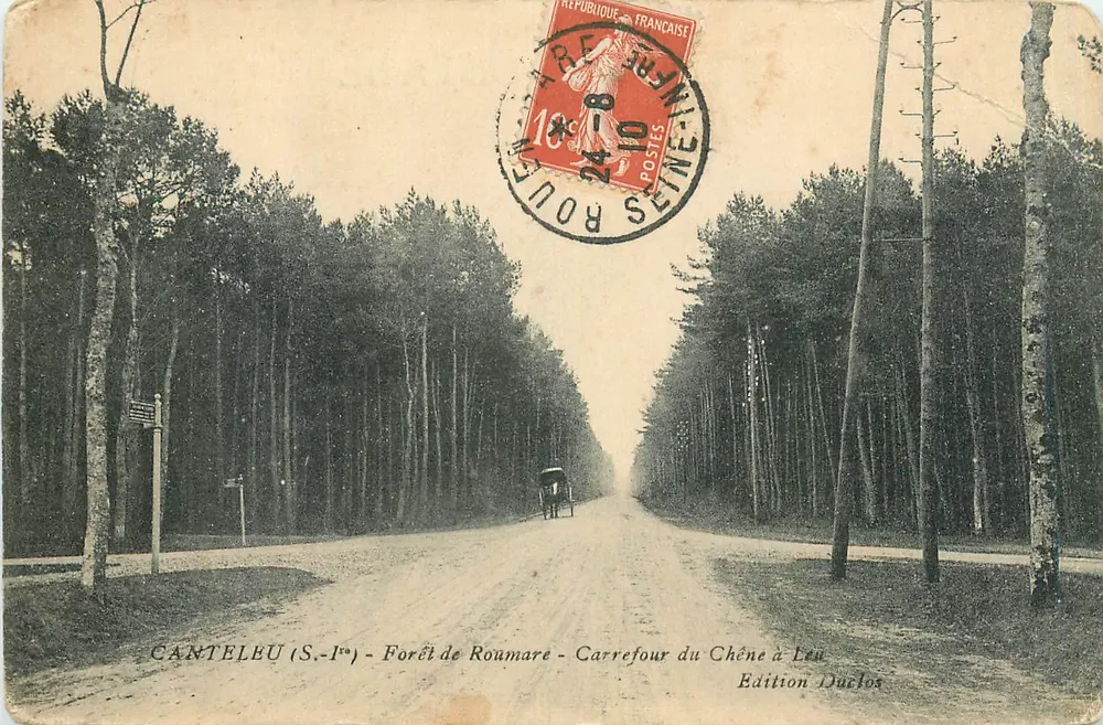 Canteleu (S.-1er) - Foresta di Roumare - Incrocio del Faggio a Leu — Edizione Duclos - Recto