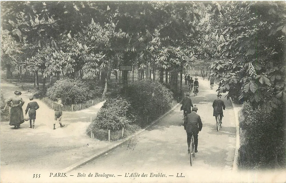 Paris — Bois de Boulogne — L'Allée des Erables — LL. — n° 355 - Vorderseite