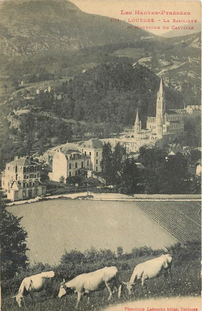 Lourdes - La Basilique et Montagne du Calvaire — Phototypie Labouche frères, Toulouse - Recto