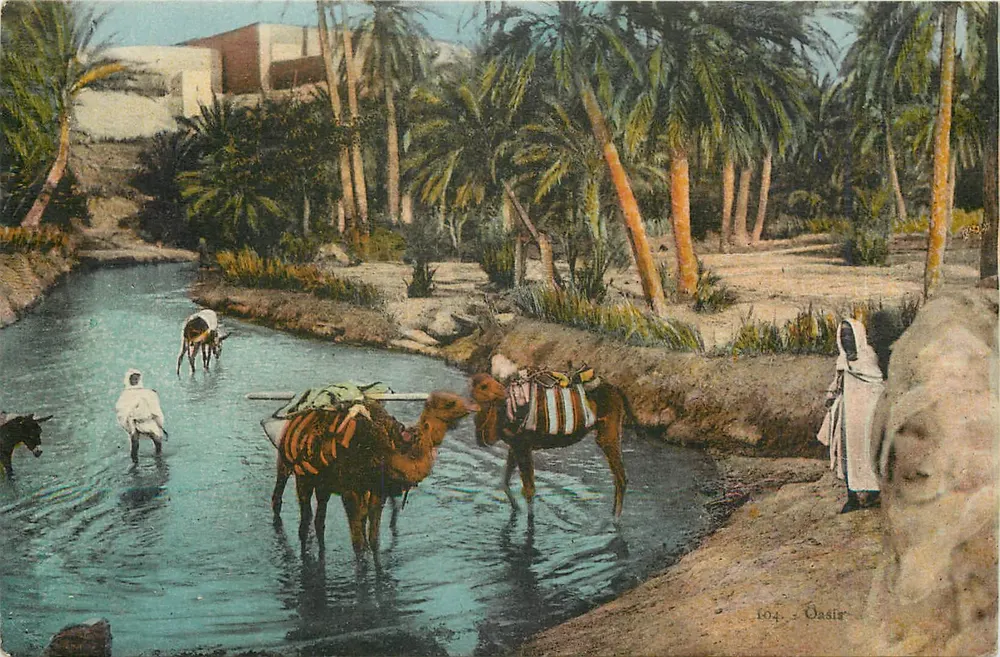 ओएसिर — नदी के दृश्य में एक ड्रोमेडार और लोग — अज्ञात प्रकाशक, संख्या 104 - आगे