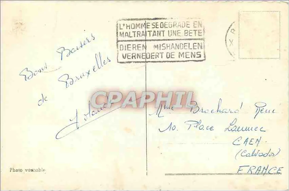 Statuy Fontanny Peneisa w Brukseli — CPHIL - Rewers