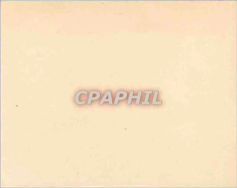 Purple flowers — greeting card - Back