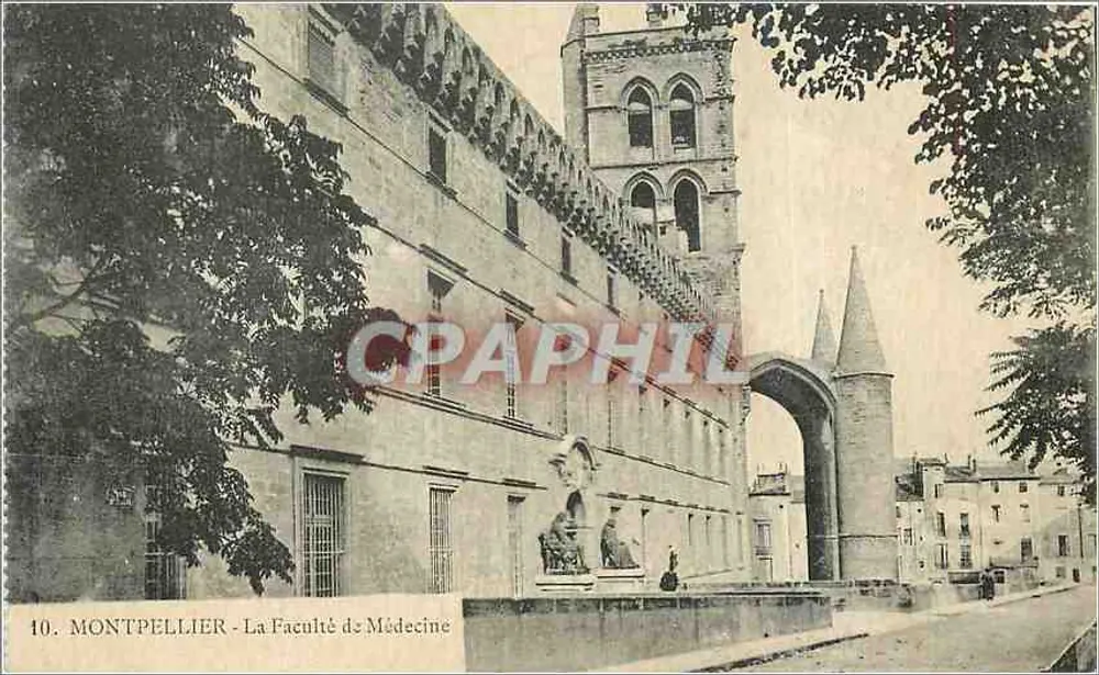 Montpellier - A Faculdade de Medicina - Frente