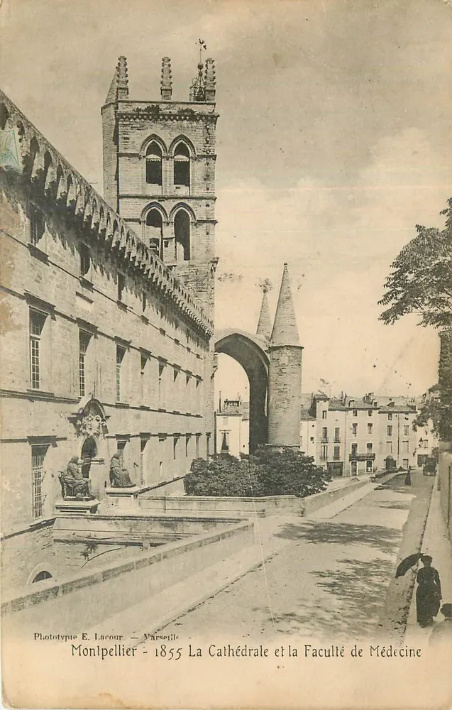 Montpellier — Die Kathedrale und die Medizinische Fakultät — Phototypie E. Lacour - Marseille - Vorderseite