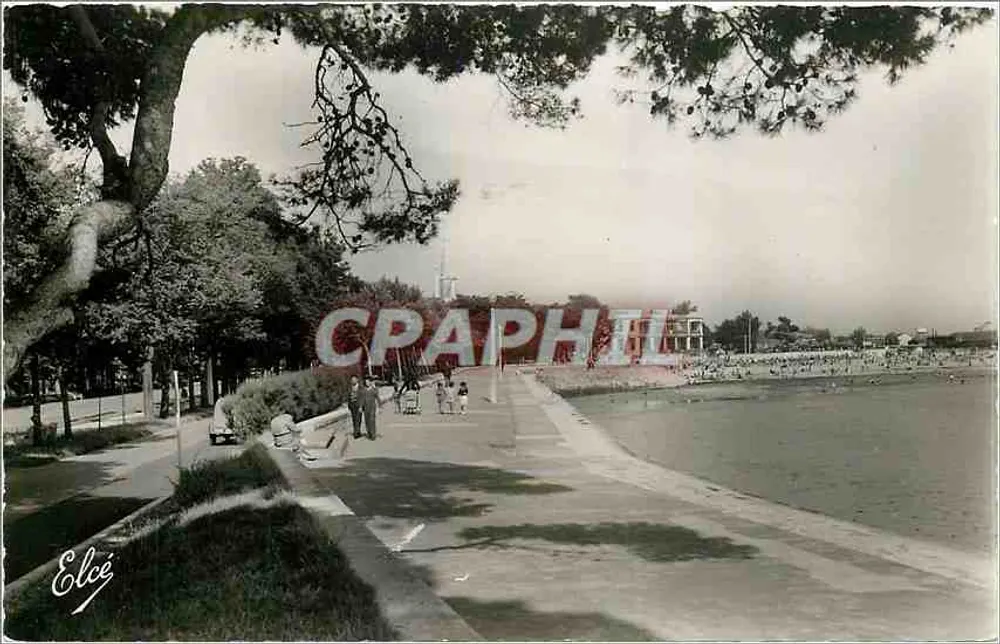 La Rochelle (Ch.-Mar.) — Promenade de la Plage du Mail — Édition Alvarez - Recto