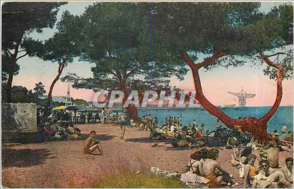 Plage de la Potinière — Hyères-les-Palmiers — éditeur non identifié - Recto