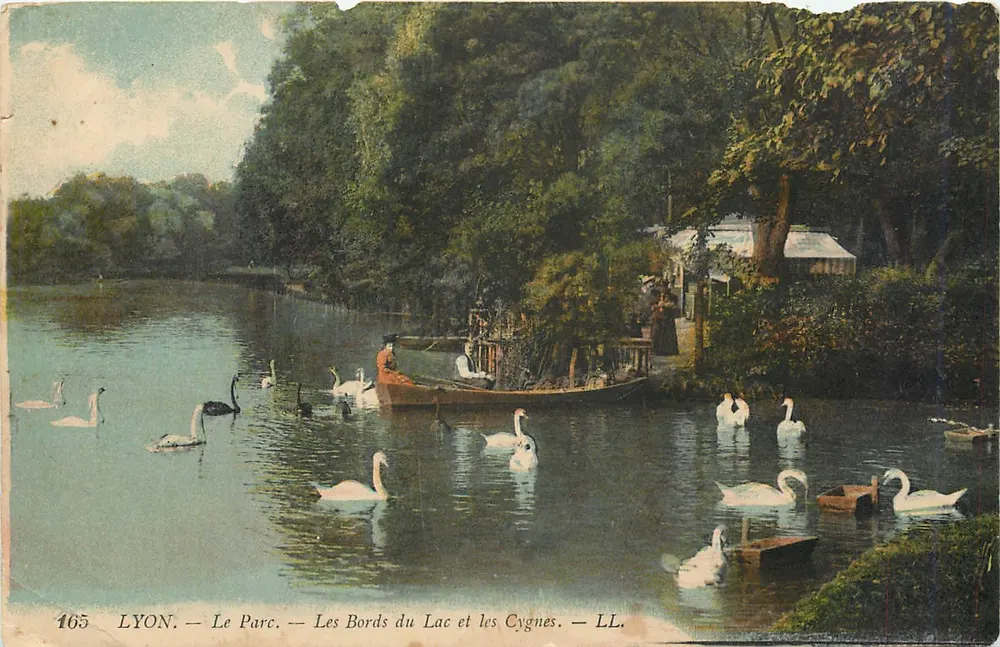 LYON. — Le Parc. — Les Bords du Lac et les Cygnes. — LL. — N° 165 - Recto