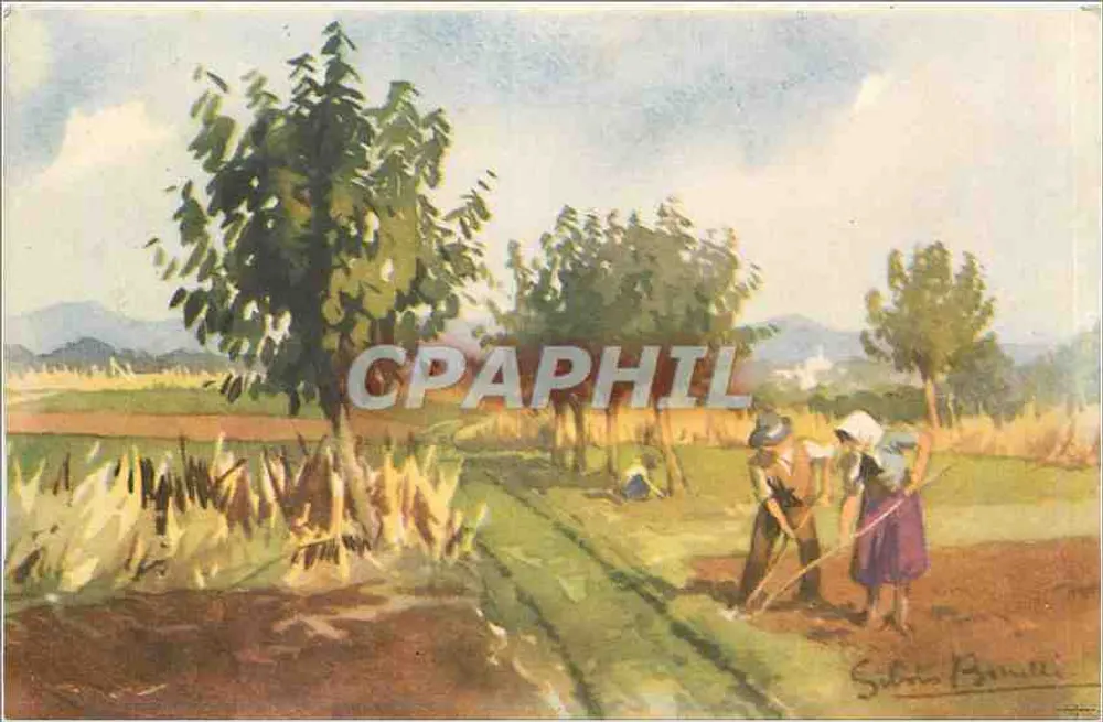 Cena de trabalho agrícola — Silvano Bonelli — editor não visível - Frente