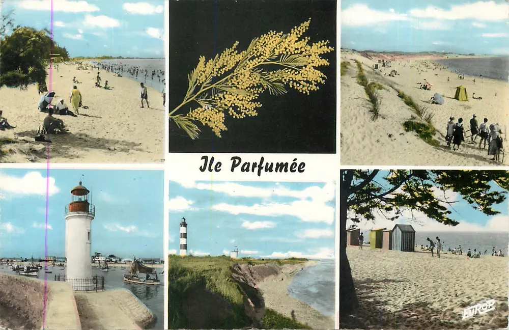 Ilha Perfumada — vista da praia, do farol e da mimosa — Edição Eurocolor MP - Frente