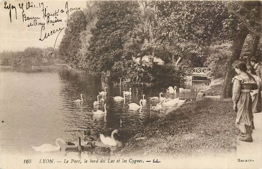 LYON — Ansicht des Parks, des Ufers des Sees und der Schwäne — LL. — SELECTA - Vorderseite