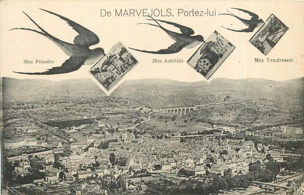 Marvejols — Luchtvieuw met vogels die ansichtkaarten dragen — Uitgever M. F., Limoges - Voorkant