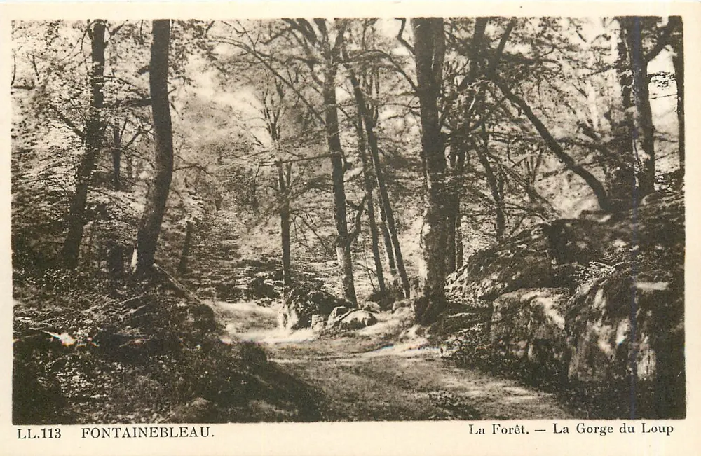 Fontainebleau — Der Wald — Die Wolfsschlucht — LL.113 — Edition - Vorderseite