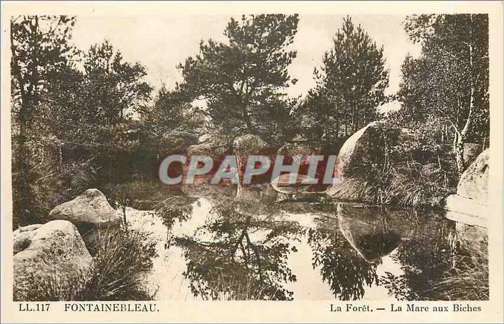 Fontainebleau — La Forêt — La Mare aux Biches — LL.117 — C° des Arts Photomécaniques, Étinasbourgo-Soniltigheim - Recto
