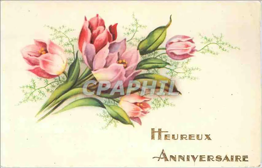 Arranjo de tulipas — Aniversário — M. D. Paris - Frente