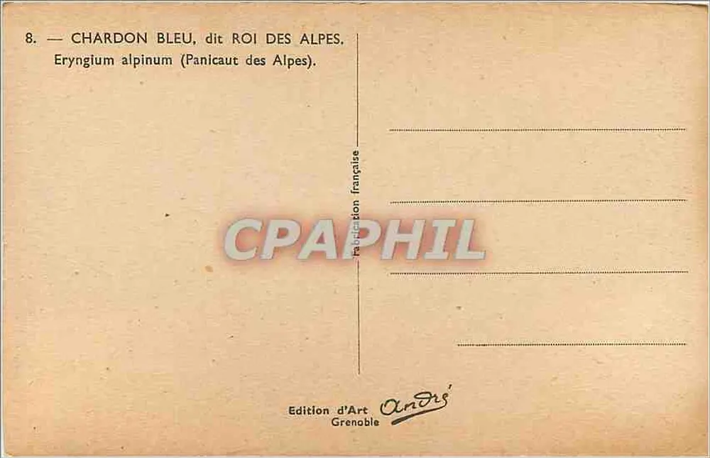 Blauer Thistle, genannt König der Alpen — Eryngium alpinum — Édition d'Art Grenoble - Rückseite