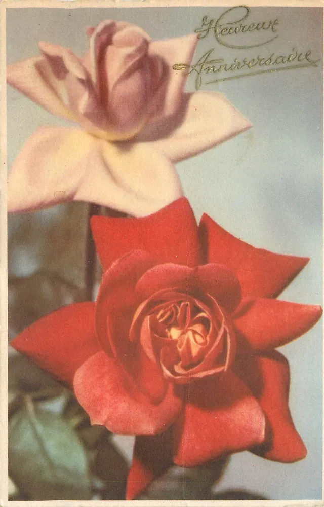 Duas rosas — uma vermelha, uma rosa pálida — para o aniversário — Edições R.R.M. Paris - Frente
