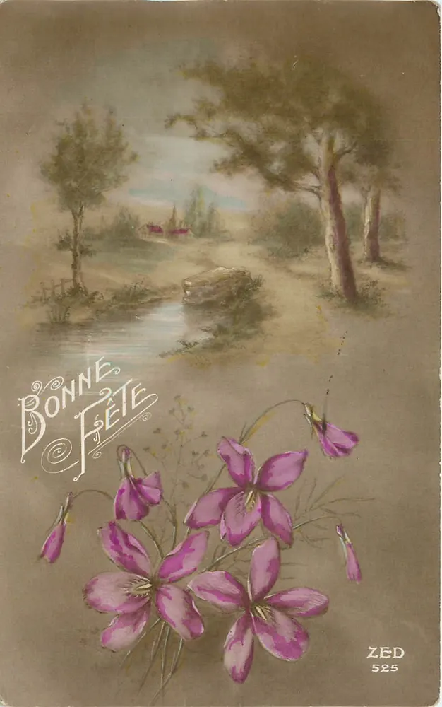 Flores violetas — paisagem rural — ZED 525 - Frente