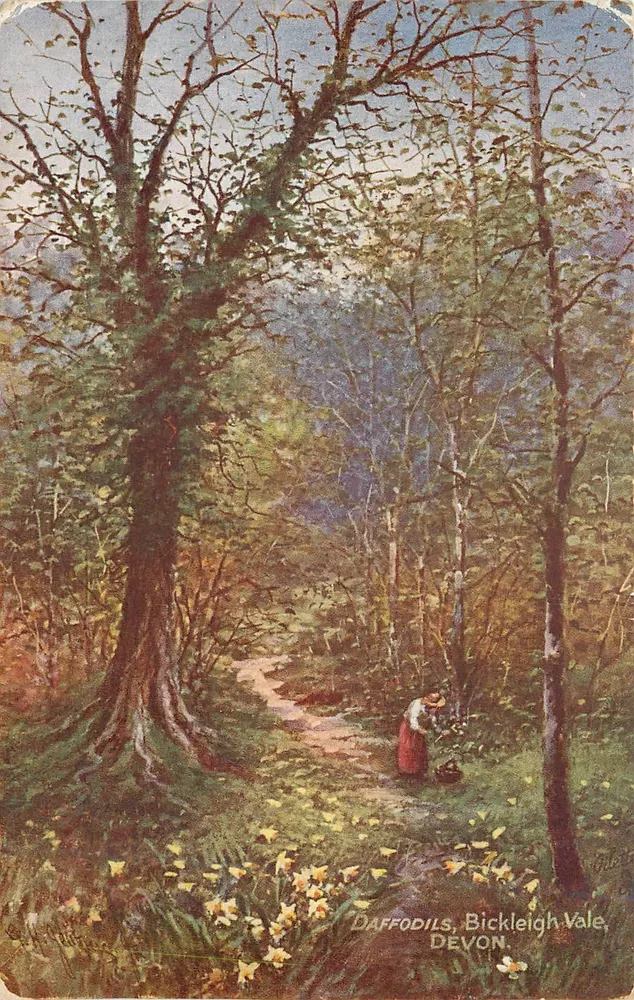 Cravos, Bickleigh Vale — Devon — editor: Richard Tuck & Co. (série XIII) - Frente