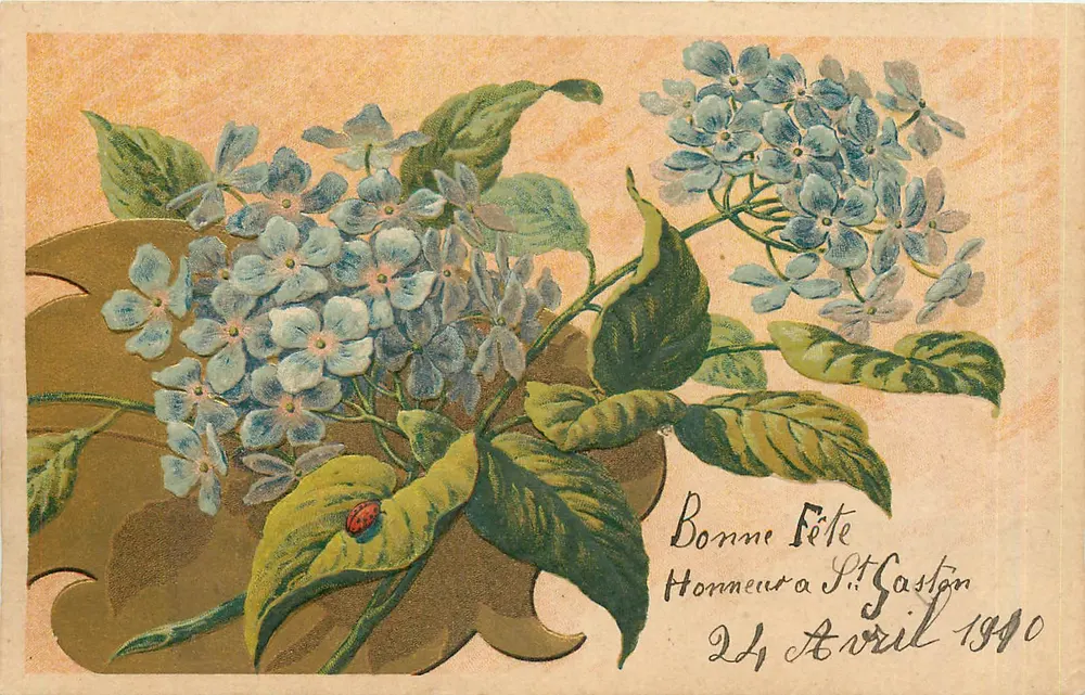Hydrangea — bosje met ladybird — antieke feestkaart - Voorkant