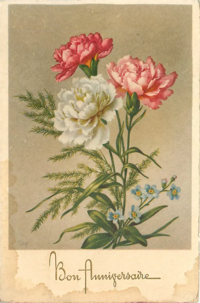 Flores de pivoines — Feliz Aniversário — editor Guy, número de série não visível - Frente