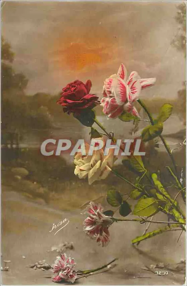 Rosas e flores — paisagem desfocada — Jrisa, n° 3230 - Frente
