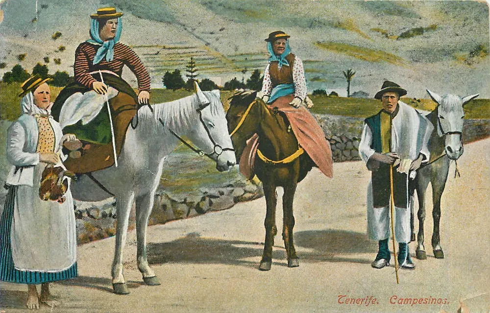 Tenerife. Campesinos. — Scène de paysans à cheval et à âne — éditeur non visible - Awers