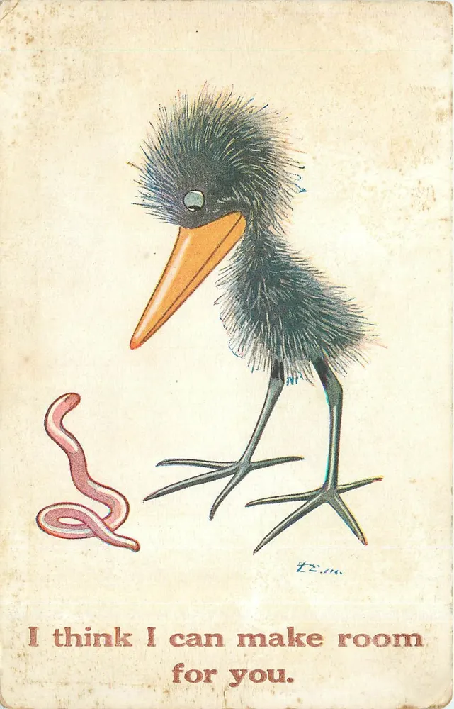 Oiseau et vers — J. Salmon, Sevenoaks, Angleterre - Recto