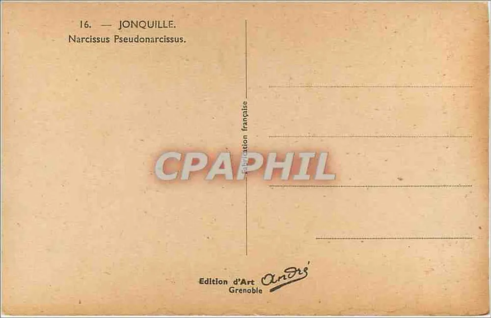 Júpiter — Narcissus Pseudonarcissus — Edição de Arte André, Grenoble - Verso