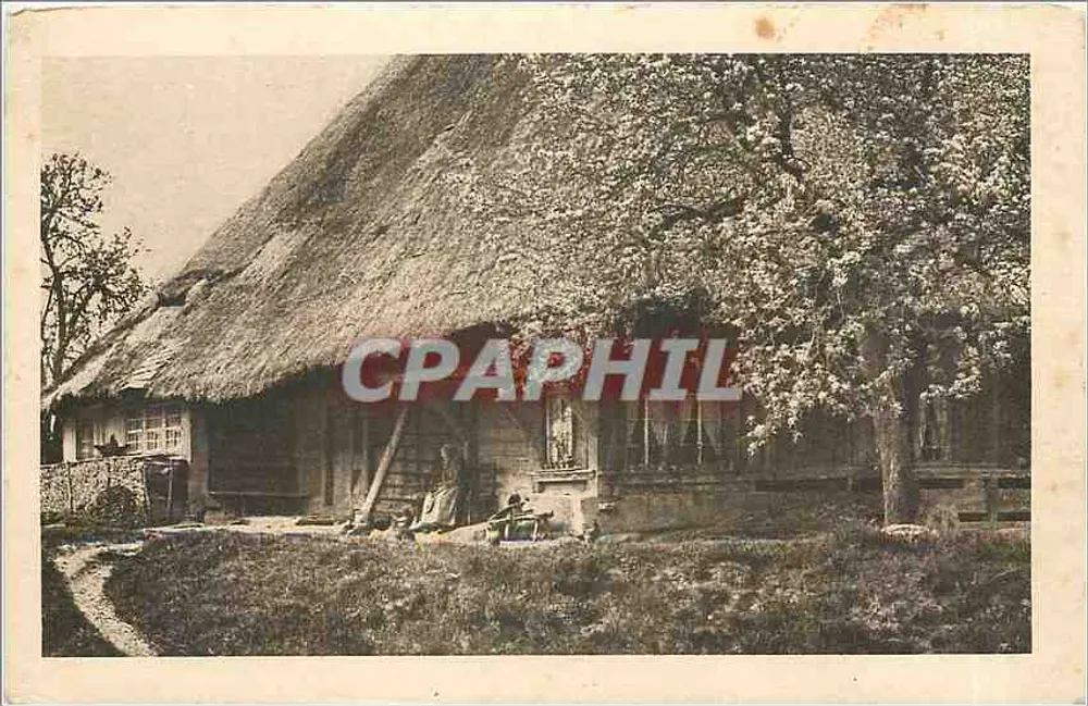 Dachhaus — blühender Baum — unbekannter Verlag - Vorderseite