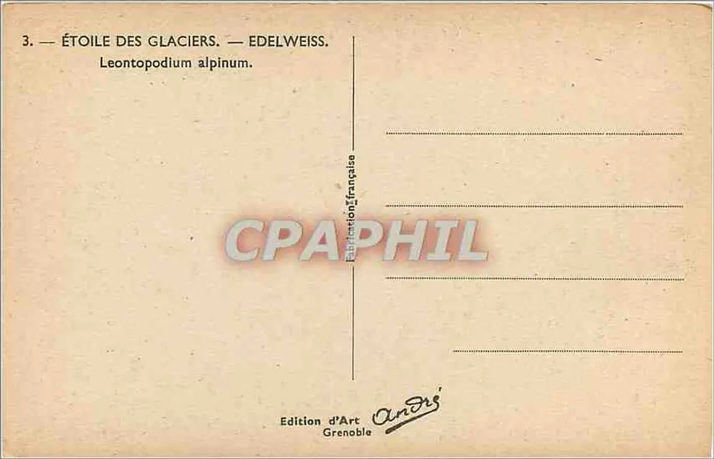 Stern der Gletscher — Edelweiss — Leontopodium alpinum — Kunstausgabe André, Grenoble - Rückseite