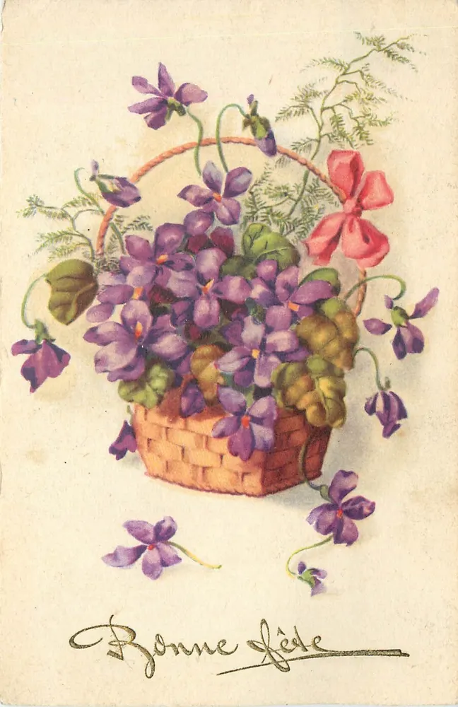 Arranjo de violetas — Feliz Aniversário — Chambardand, Suíça - Frente