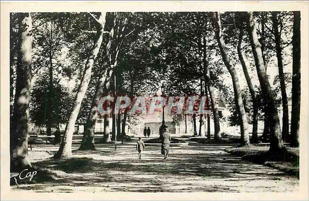 Alençon — La Grande Allée du Jardin Public — éditeur Cap - Recto