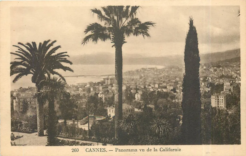 CANNES. — Panorama vu de la Californie — n° 260 - Recto