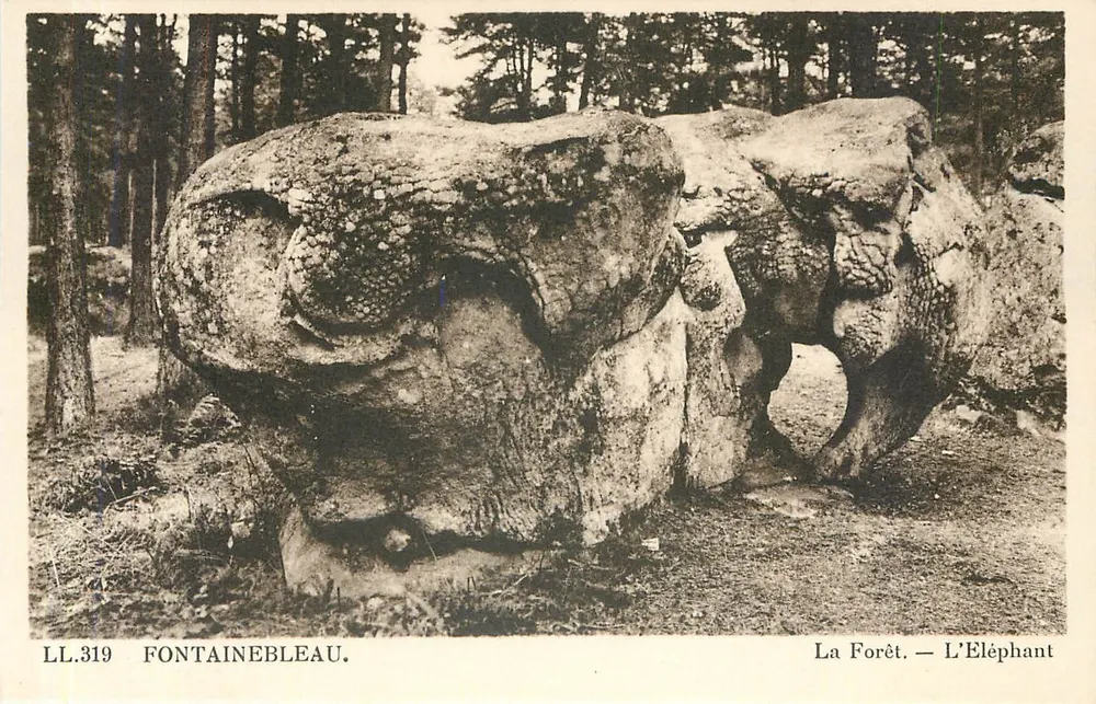 Fontainebleau — A Floresta — O Elefante — LL.319 - Frente