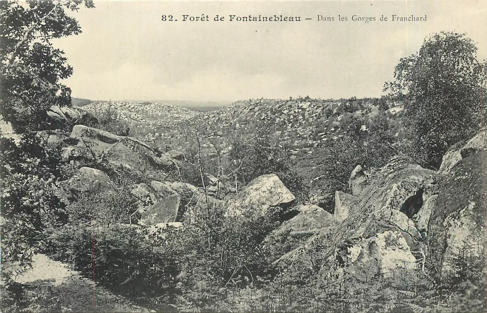 Forêt de Fontainebleau — Dans les Gorges de Franchard — Imprimerie Photomécanique L. Michard, Fontainebleau - Recto