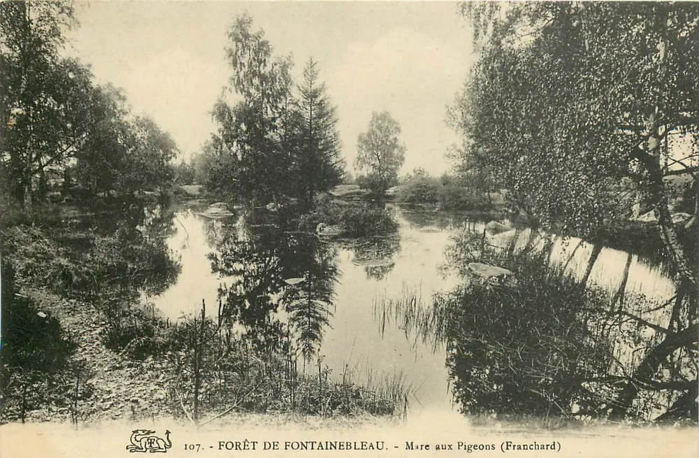 Wald von Fontainebleau — Mare aux Pigeons (Franchard) — Verlag Franchard, Nr. 107 - Vorderseite