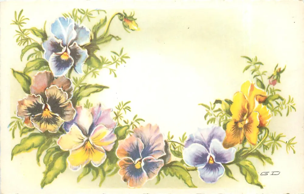 Flores de pensamento — decorativo — M.D. Paris, série n° 5505 - Frente