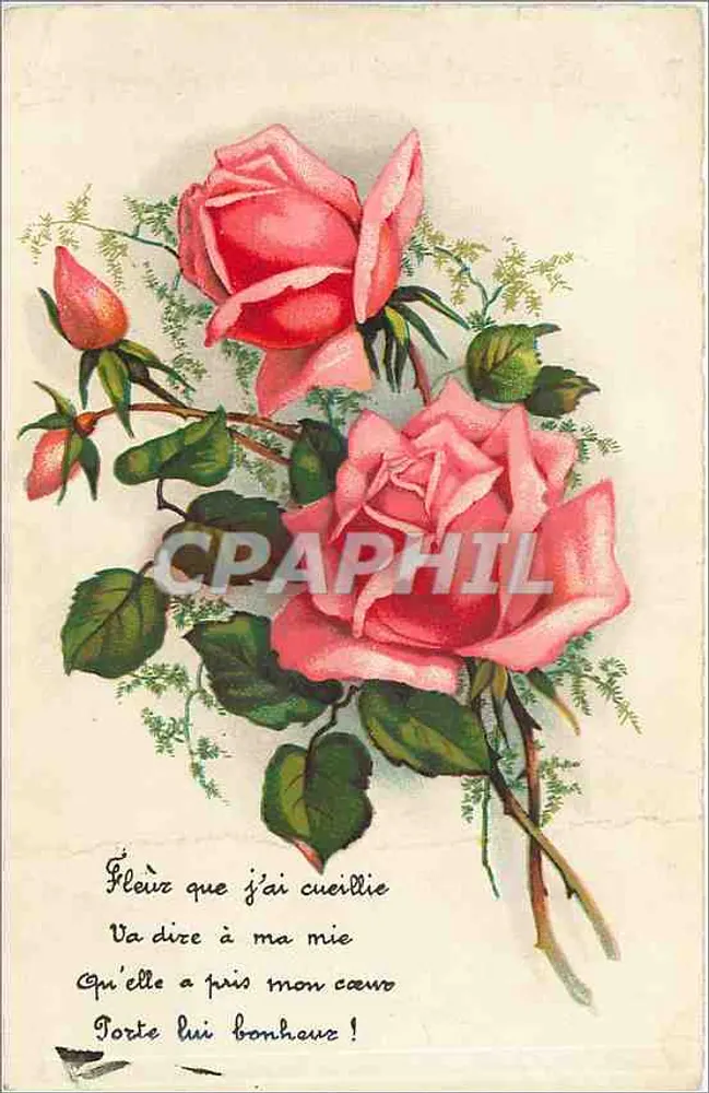 Roses — bouquet de deux roses épanouies et boutons avec feuillage — éditeur non identifié, n° de série 573 - Frente