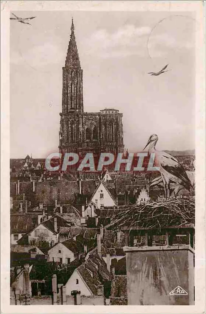 Estrasburgo - Torre da Catedral — editor C.A.A. n°36 - Frente