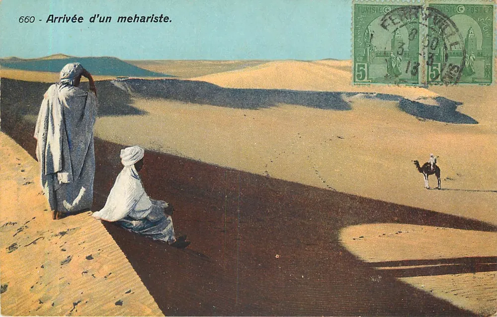 Chegada de um meharista — Tunísia — Lehner & Landrock, n°660 - Frente