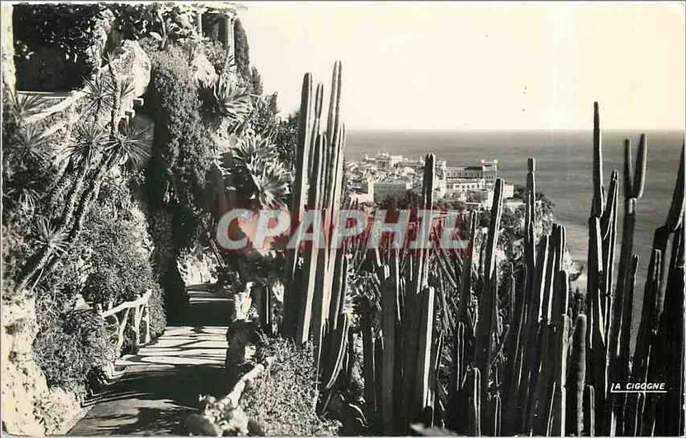 Der exotische Garten von Monaco — Aussicht auf die Küste — Verlag: La Cigogne, Nr. 1A - Vorderseite