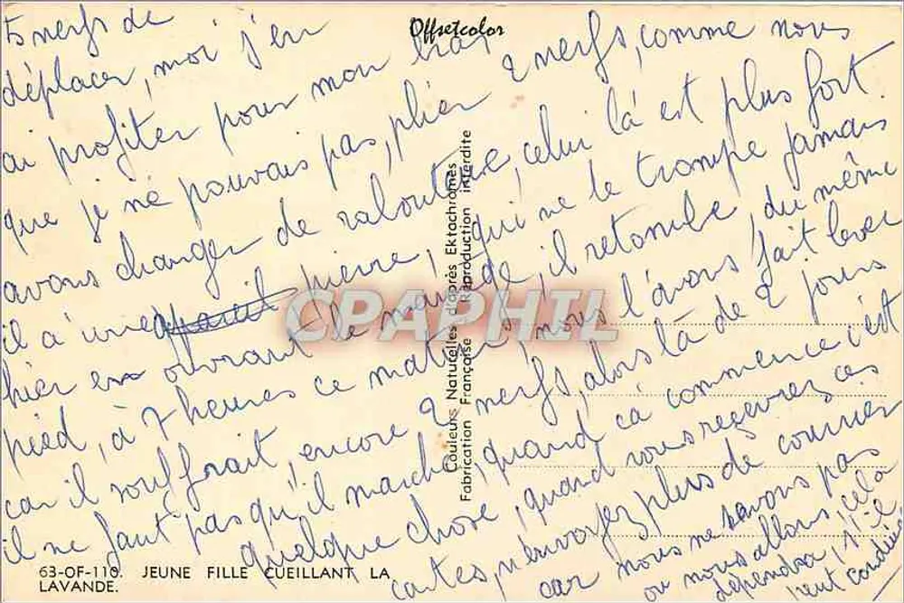 Giovane donna che raccoglie la lavanda — Lavanda — Editore Offretcolor, n° 63-OF-110 - Verso